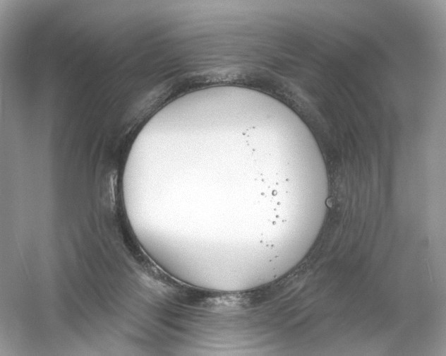 X0000061150118200512022325