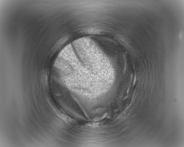 X0000061150120200512022325