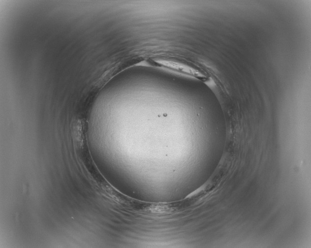 X0000061150121200512022325