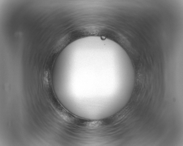 X0000061150122200512022325