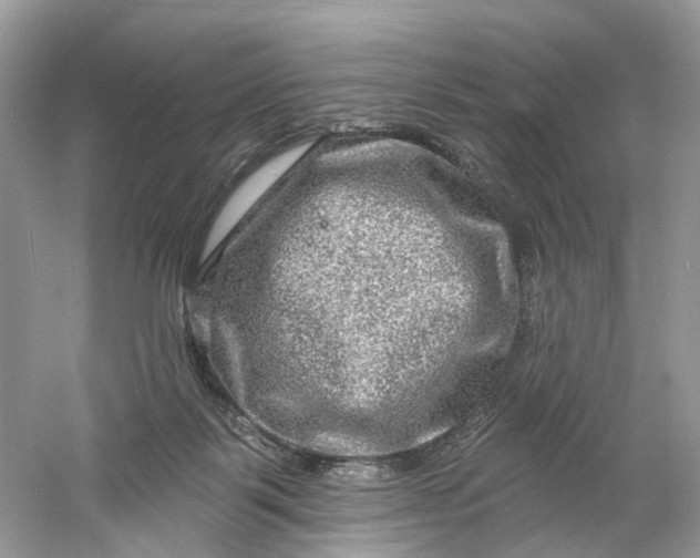 X0000061150123200512022325