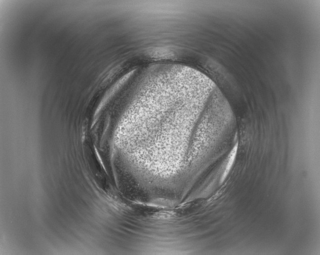 X0000061150124200512022325