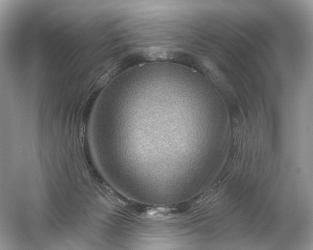 X0000061150125200512022325