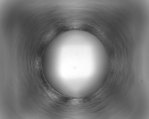 X0000061150126200512022325