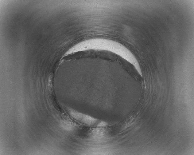 X0000061150127200512022325