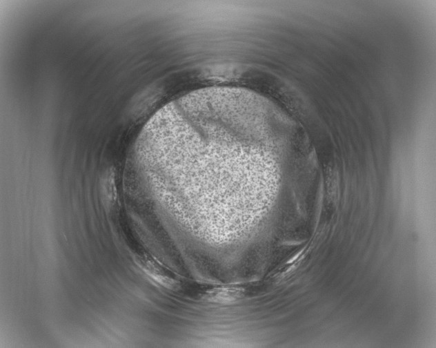 X0000061150128200512022325