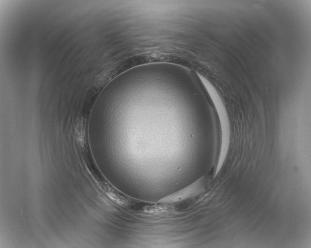 X0000061150129200512022325