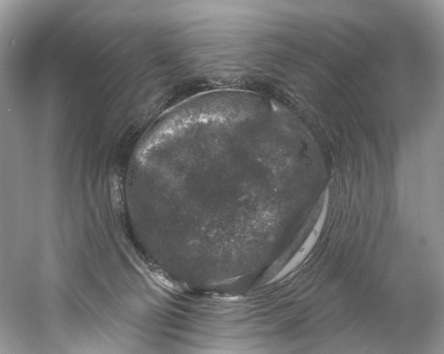 X0000061150130200512022325