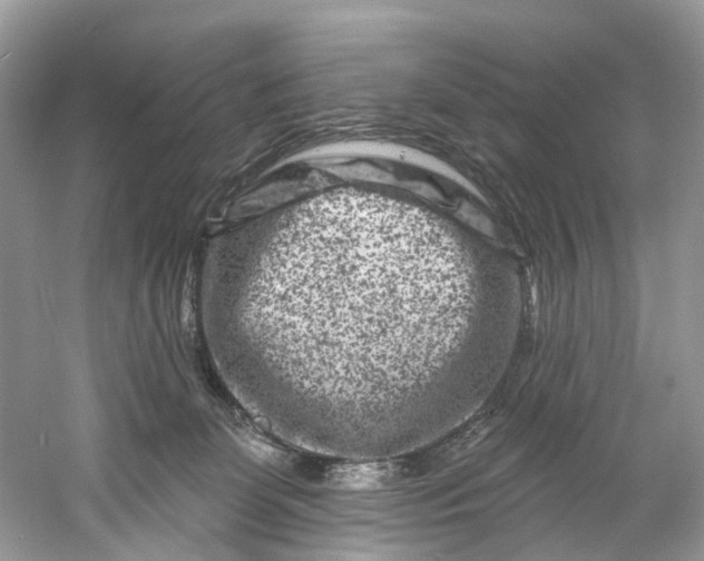 X0000061150131200512022325