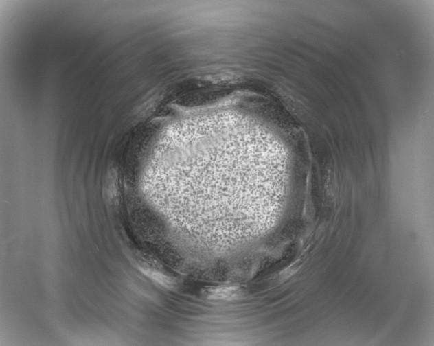 X0000061150132200512022324