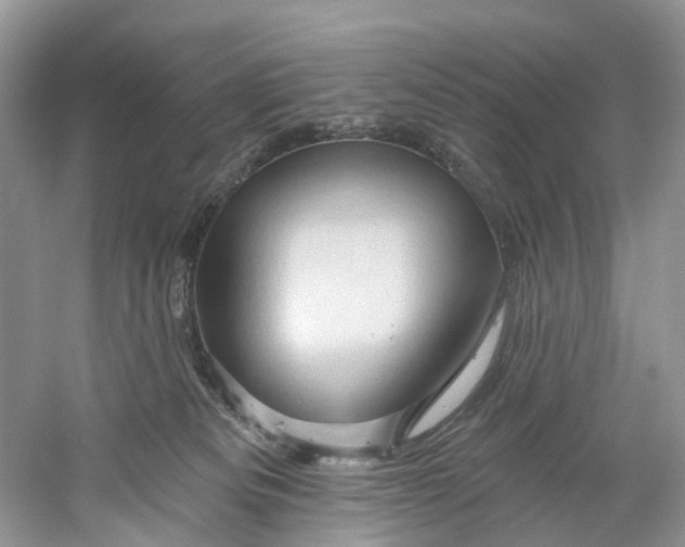 X0000061150133200512022324