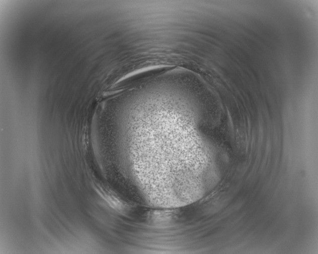 X0000061150134200512022324