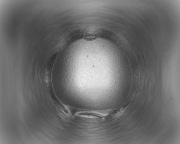 X0000061150135200512022324