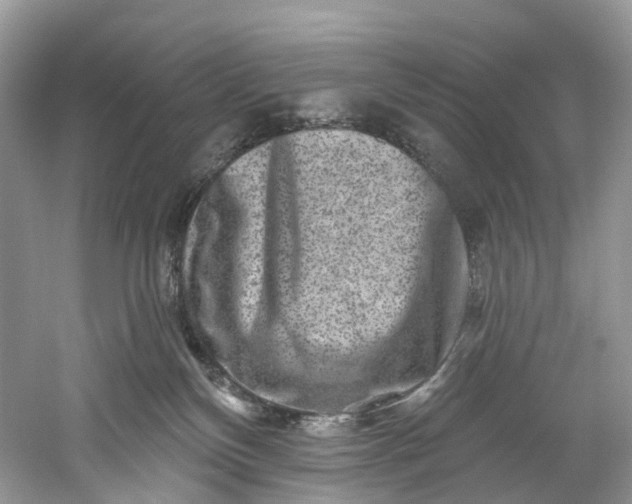 X0000061150136200512022324