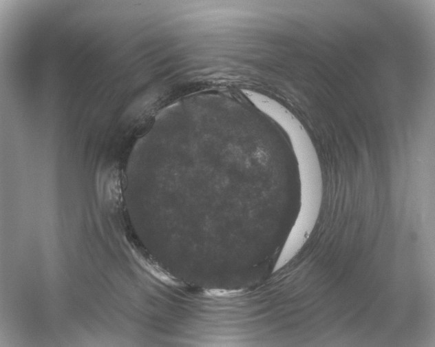 X0000061150137200512022324