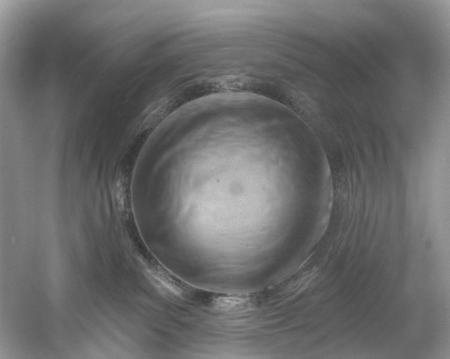 X0000061150139200512022324