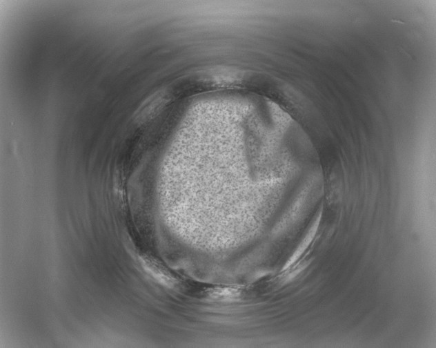 X0000061150140200512022324