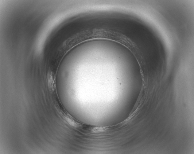 X0000061150142200512022324