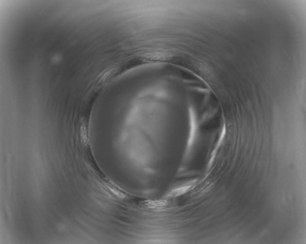 X0000061150143200512022324