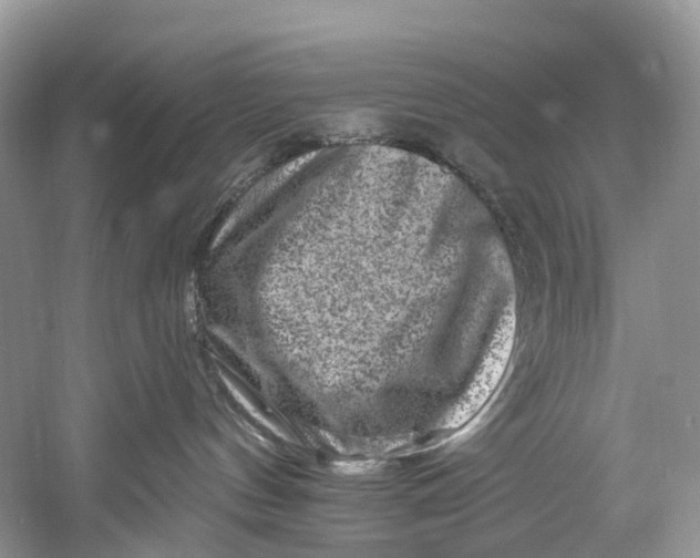 X0000061150144200512022324