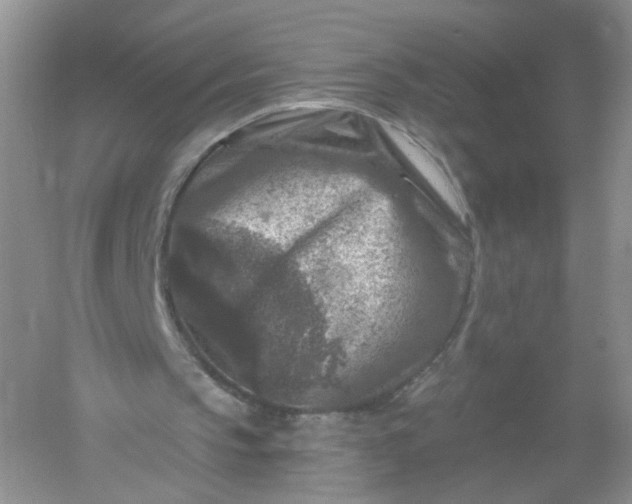 X0000061150145200512022323