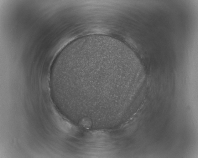 X0000061150146200512022323