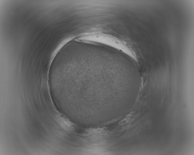 X0000061150147200512022323