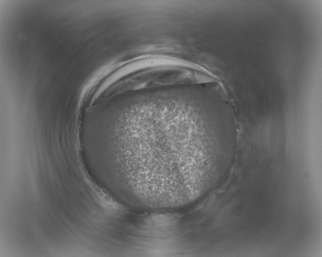 X0000061150149200512022324