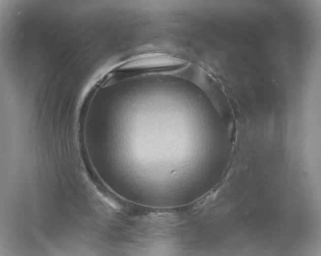 X0000061150150200512022324