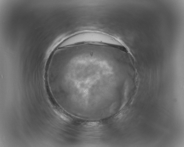 X0000061150151200512022324