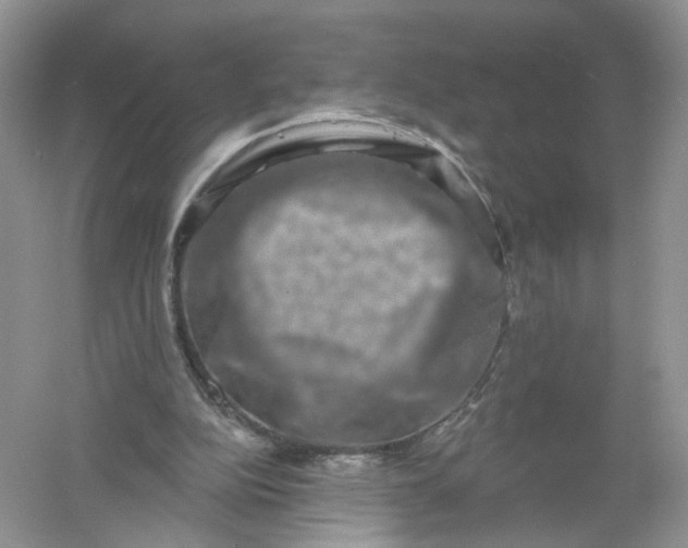 X0000061150152200512022324