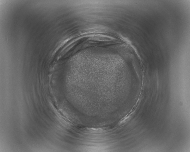 X0000061150154200512022324