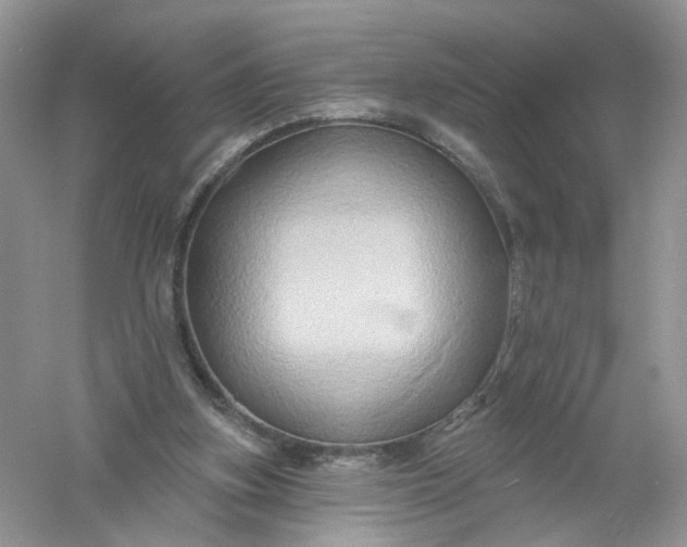 X0000061150155200512022324