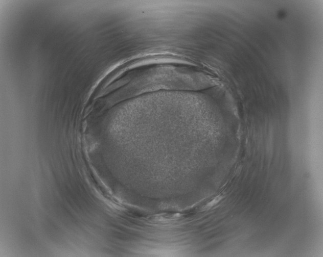 X0000061150156200512022324