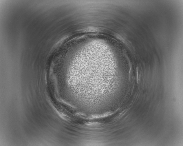 X0000061150157200512022324