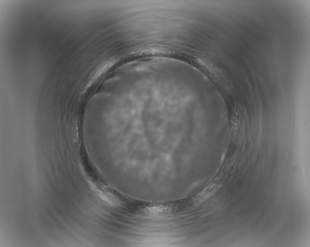 X0000061150158200512022324