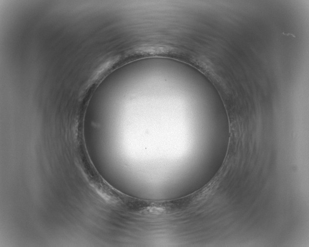 X0000061150159200512022324