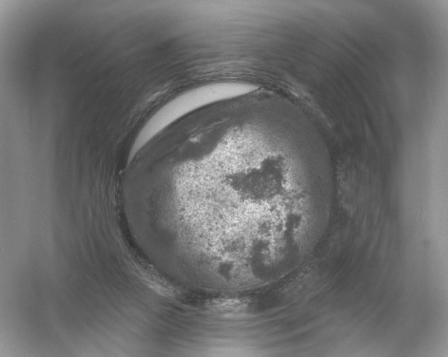 X0000061150161200512022324