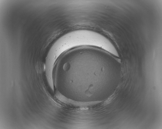 X0000061150162200512022324