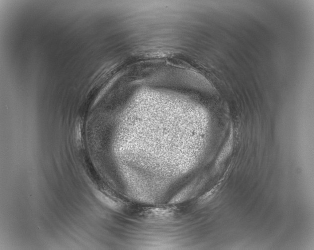 X0000061150166200512022324