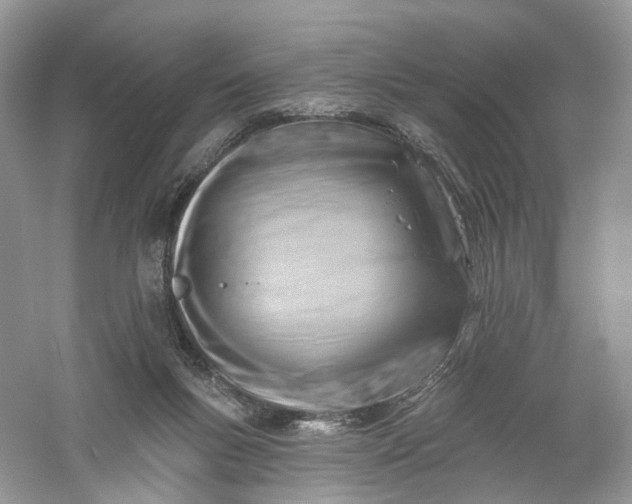 X0000061150167200512022324