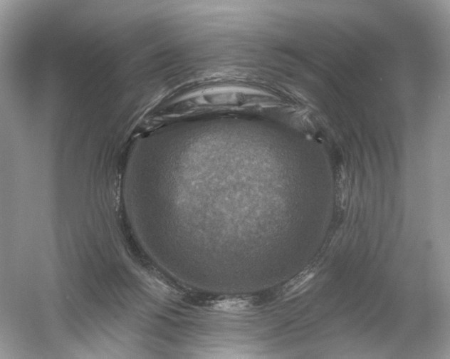 X0000061150168200512022324