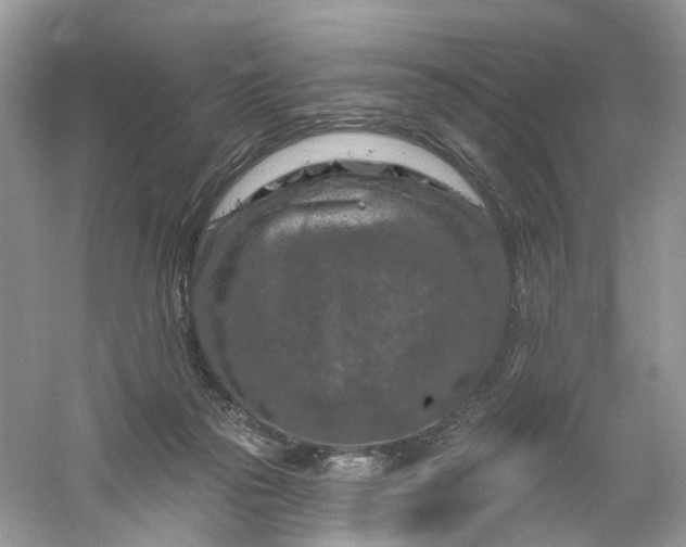 X0000061150169200512022324