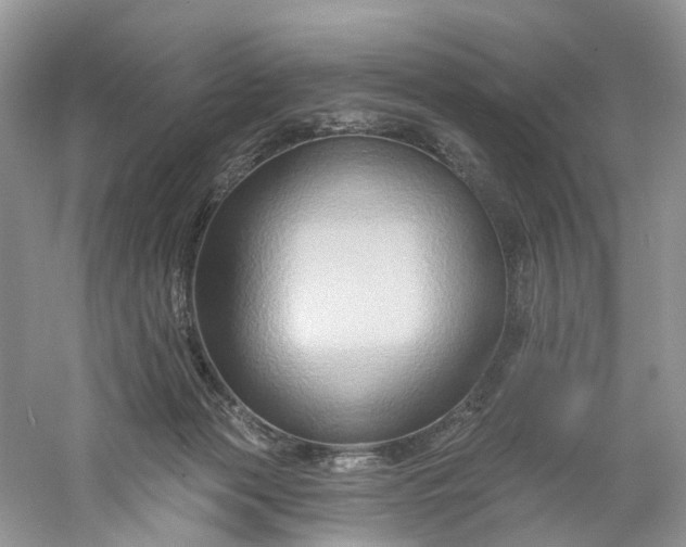 X0000061150173200512022324