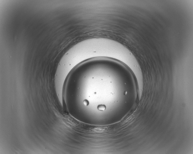 X0000061150176200512022324