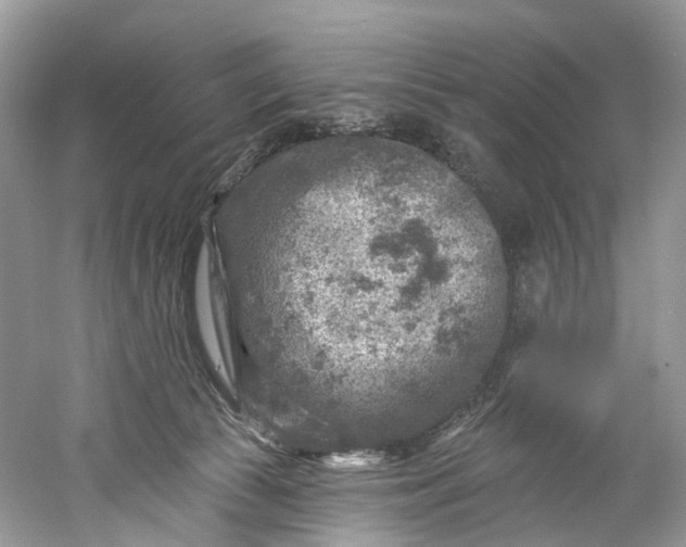 X0000061150177200512022324