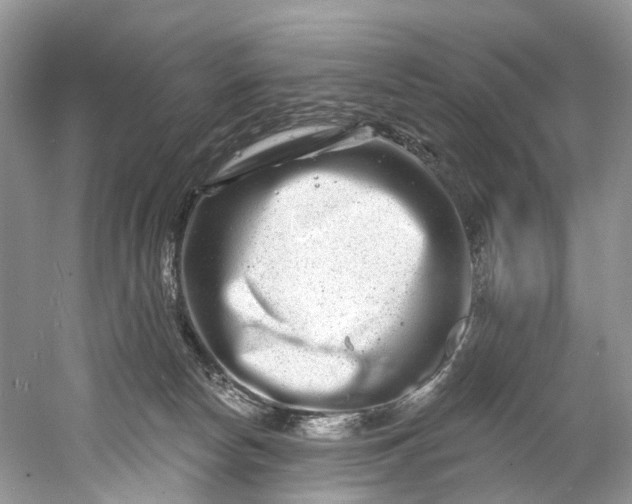 X0000061150178200512022324