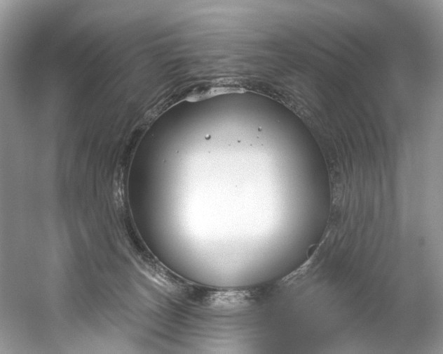 X0000061150179200512022324