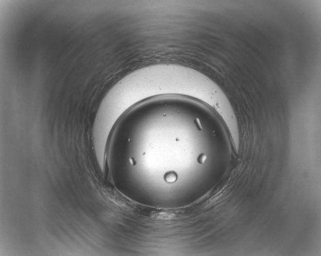 X0000061150180200512022324