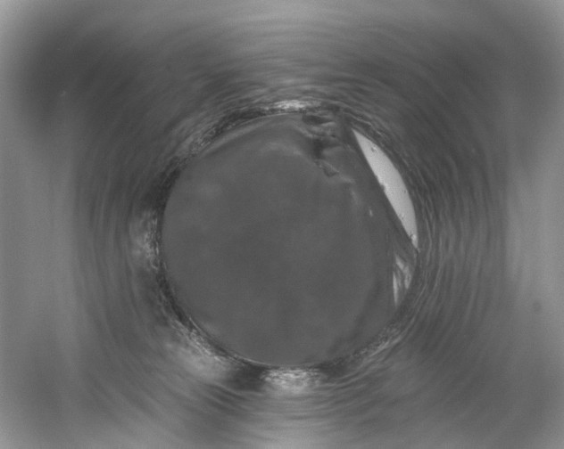 X0000061150181200512022324